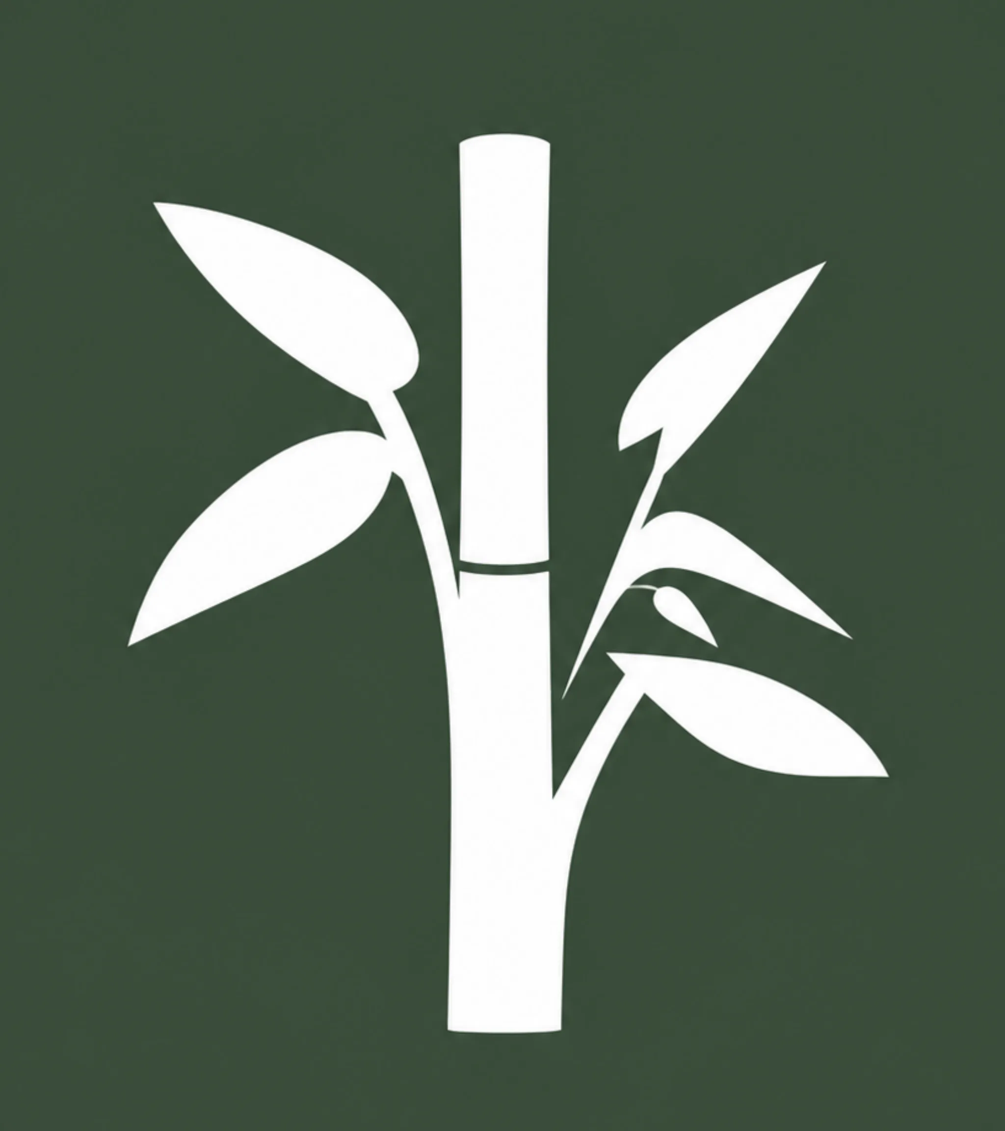 Bamboo Homes icon